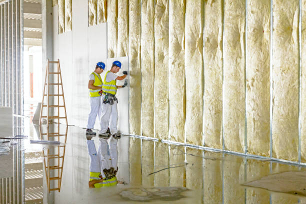 Best Insulation Installation Services in Erie, PA